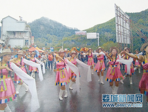 东平县恋居家电子商务有限公司深度解析