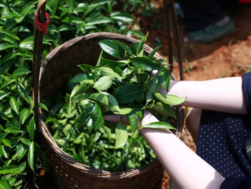 想了解一下茶馆装修有哪些格调比拟吸引顾客