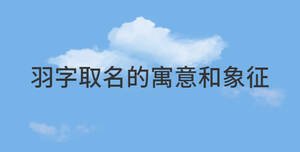 羽的古义