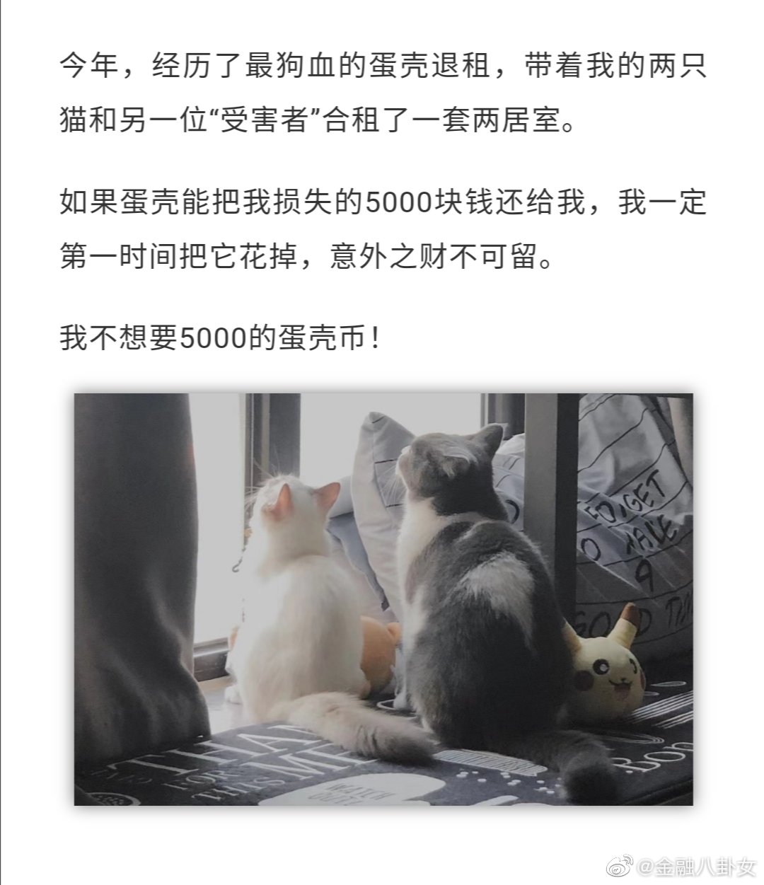 哪个能给我一个装修公司电话号码的