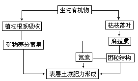 土