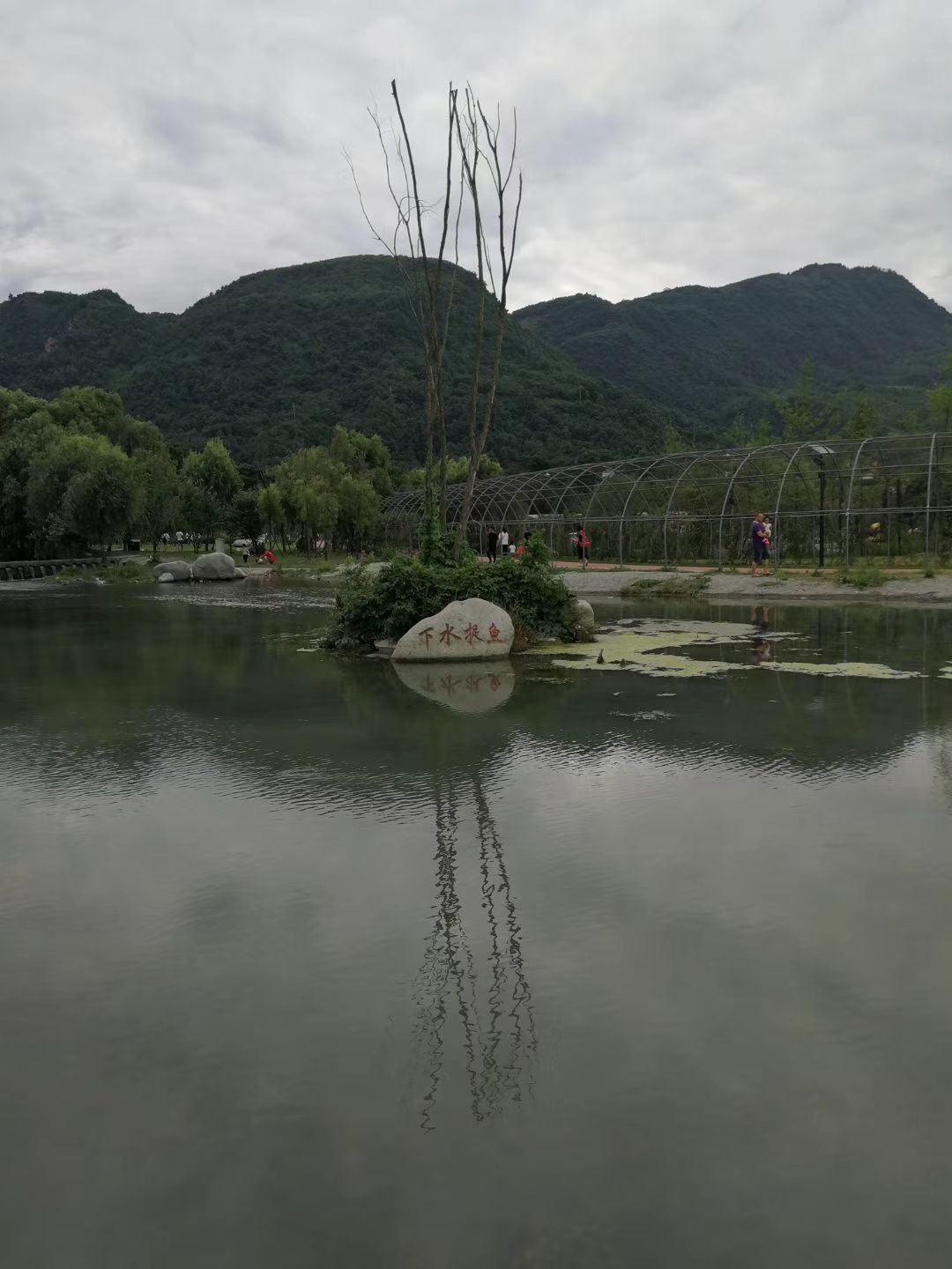 有那些装璜公司在鱼洞左近的