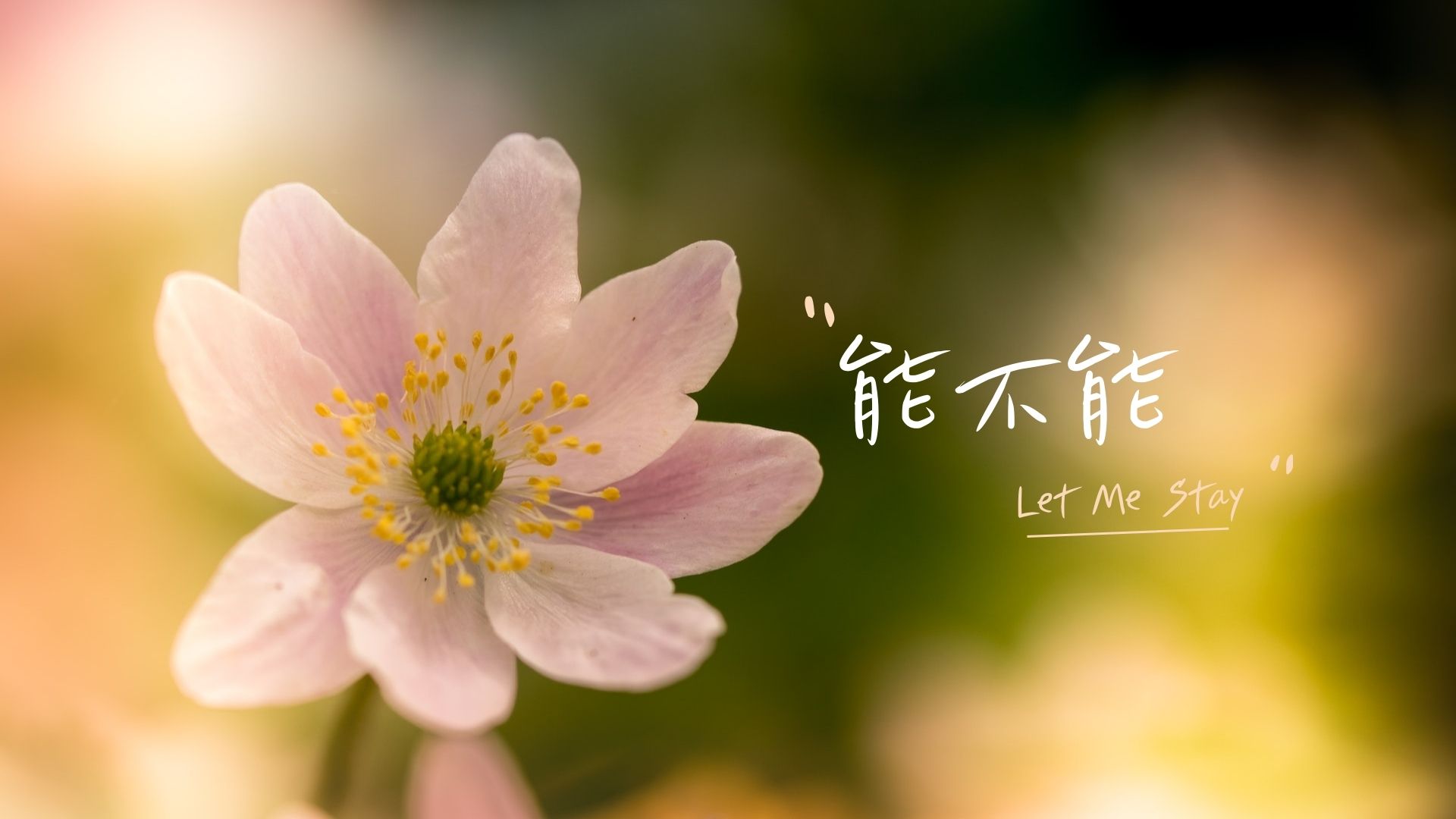 相似四合院的