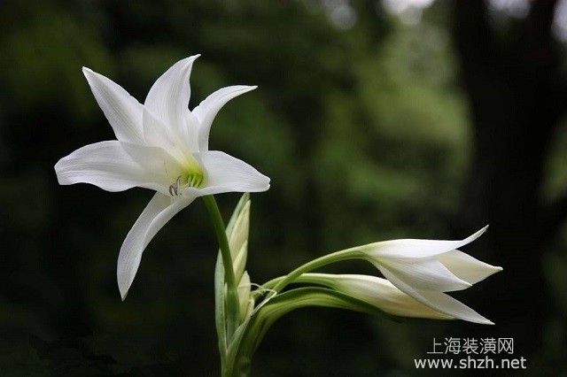 哪个装修公司比拟好