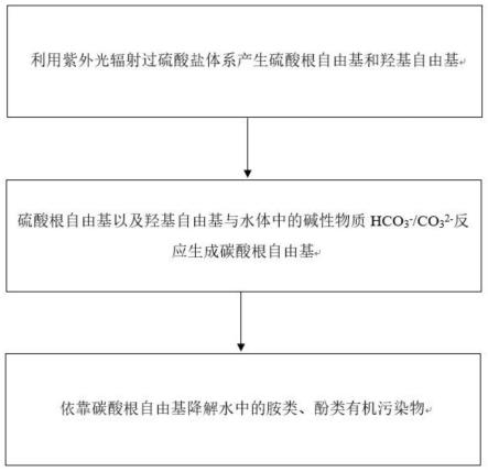 能生成碳酸根吗