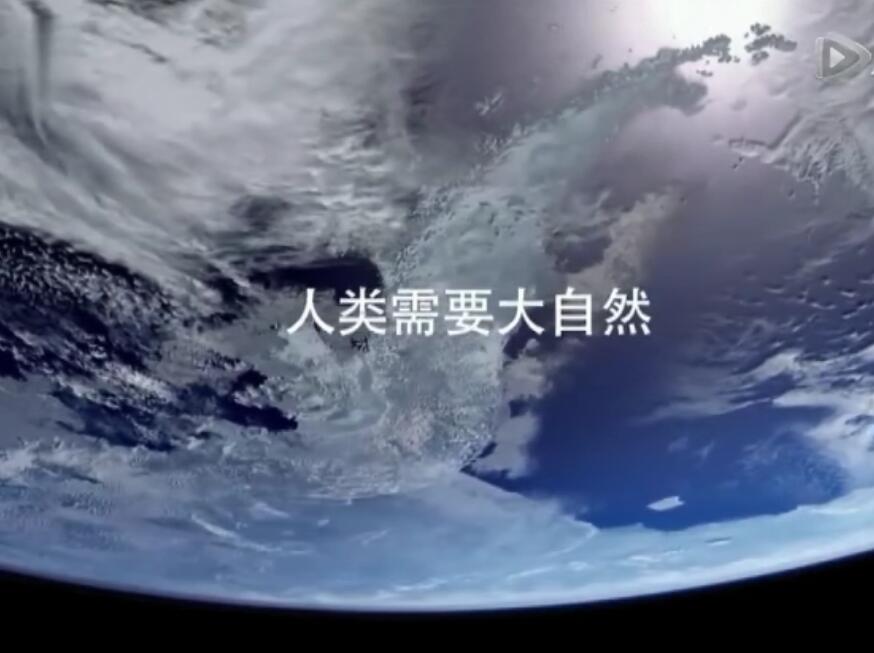 提问