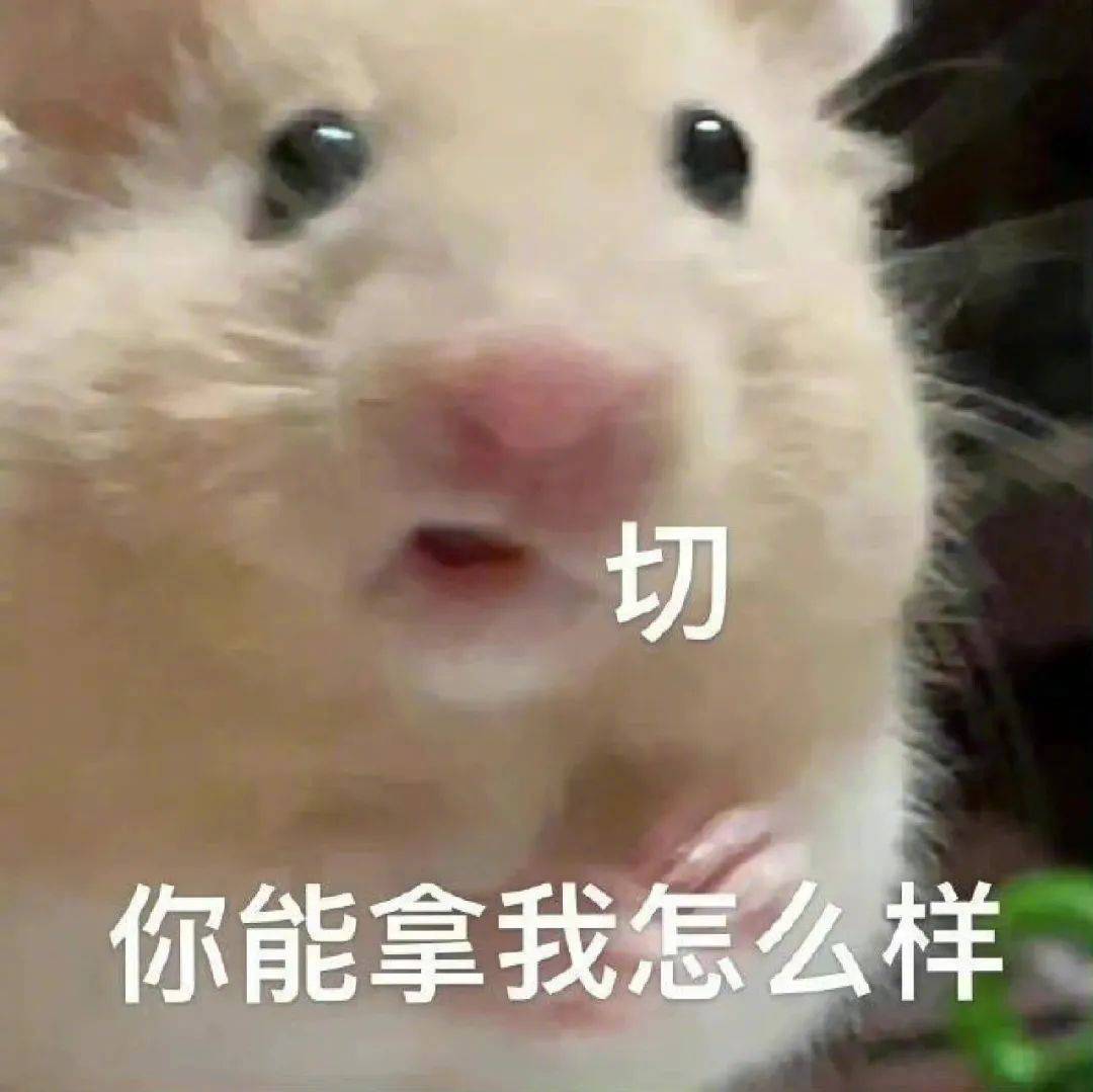 贵州建工个人岩土基础工程有限公司