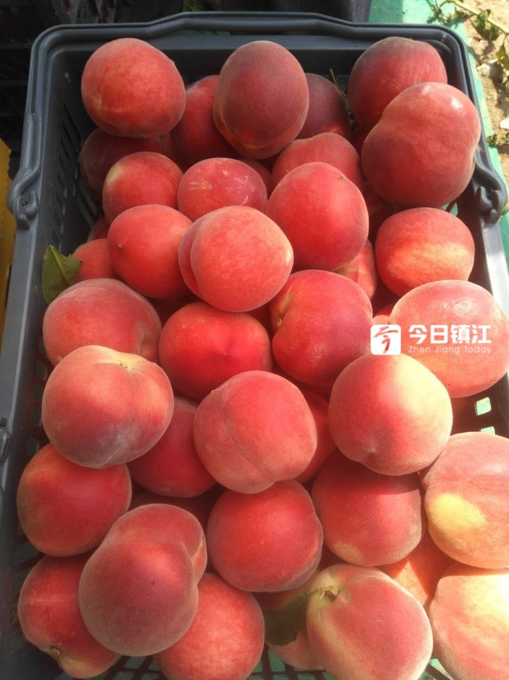 商城县福缘桃花源的房子值得买吗